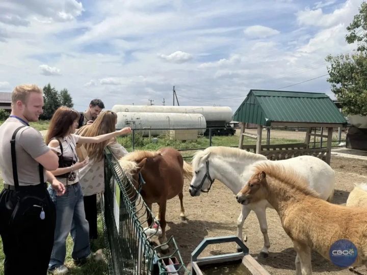 Жителей и гостей Ставрополья приглашают открыть для себя культуру казаков-некрасовцев и духовных молокан